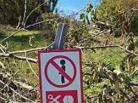 Bassano 2024 II - 25